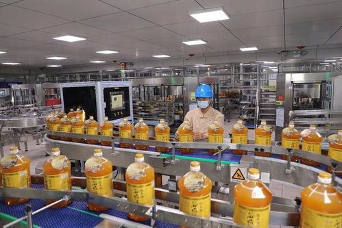 投洽會(huì)彰顯中國投資魅力，益海嘉里金龍魚持續(xù)深耕中國市場(chǎng)